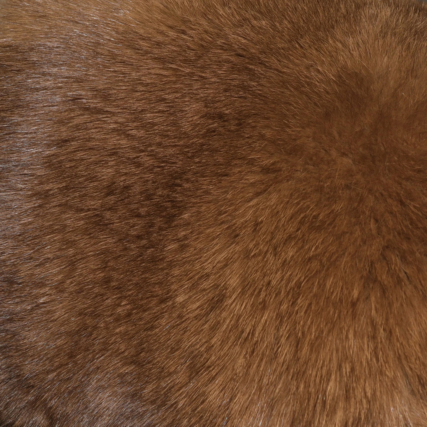 YOLOAgain Women Solid Natural Fox Fur Sexy Bikini Set Bra Detachable