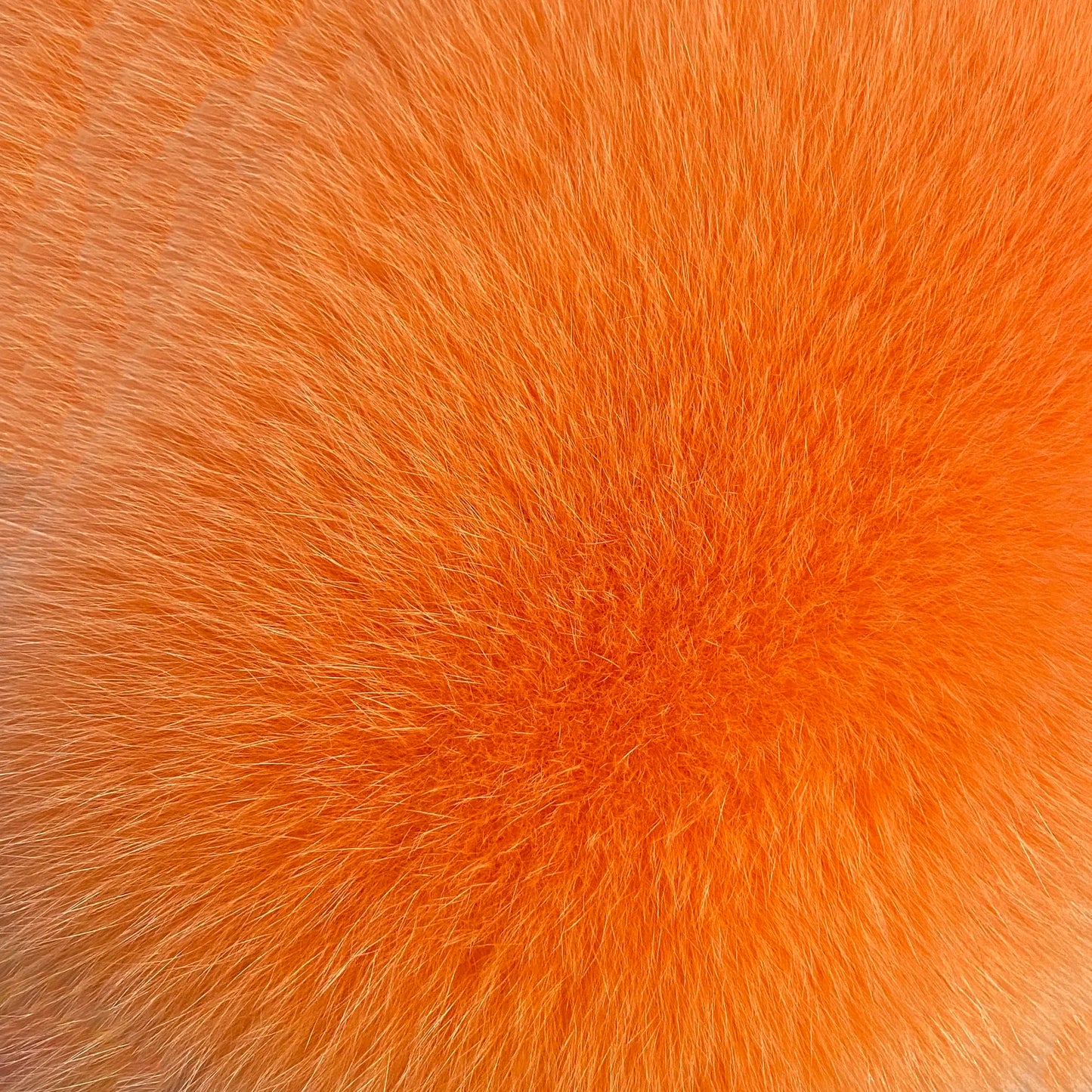 YOLOAgain Women Solid Natural Fox Fur Sexy Bikini Set Bra Detachable