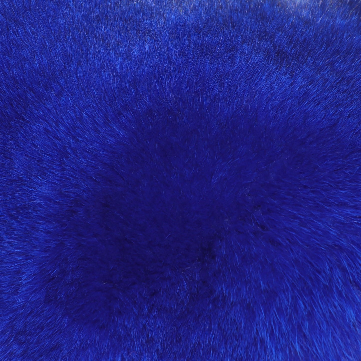 YOLOAgain Women Solid Natural Fox Fur Sexy Bikini Set Bra Detachable